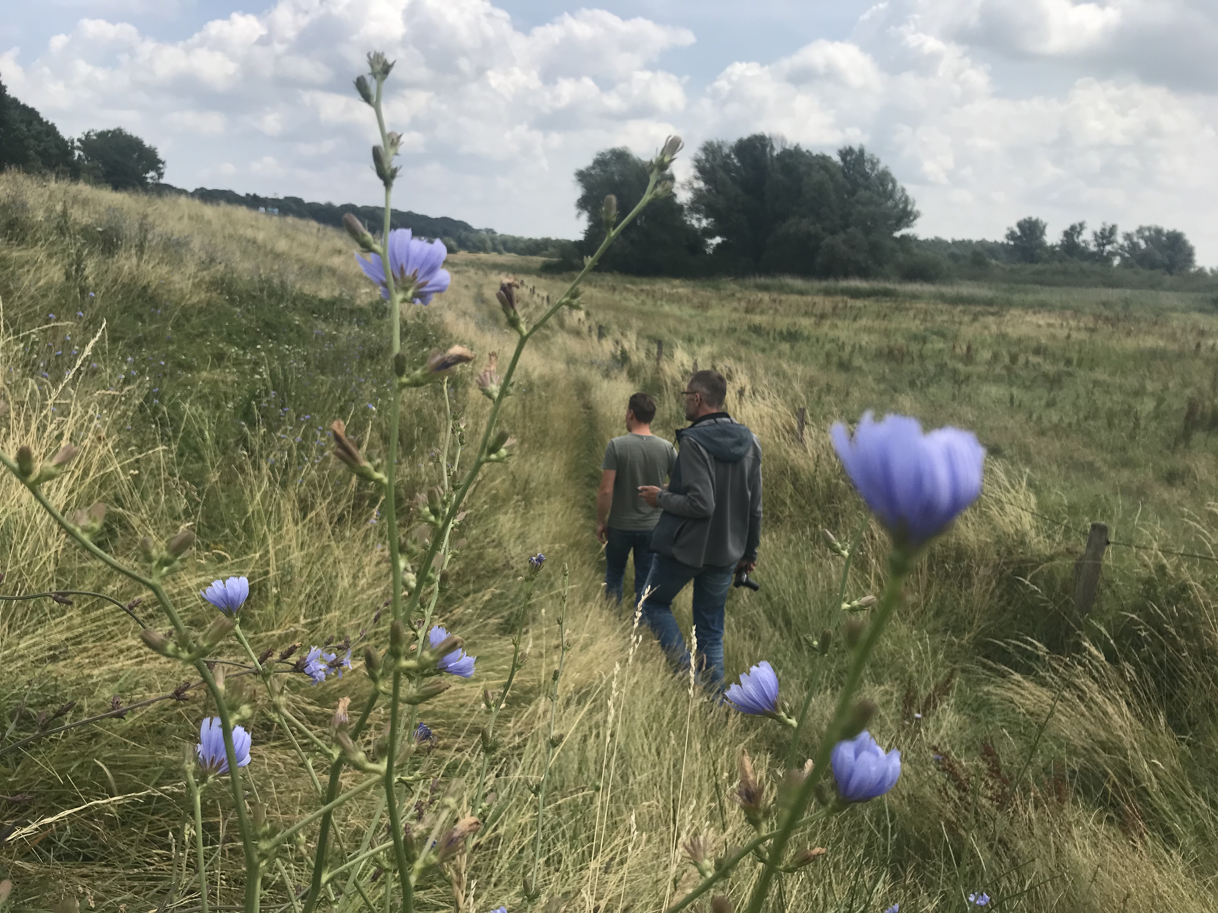 Foto: Amber van Amsterdam